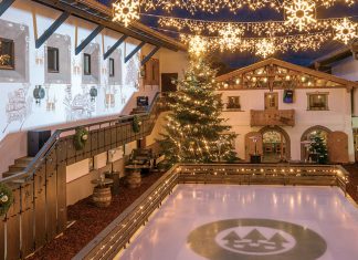 Foresta Natalizia Un appuntamento unico con il Natale