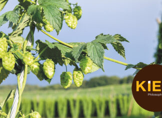 Luppolo & birra, risultato vincente