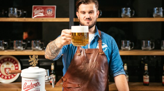 BB_RADIM_BEERTENDER_PUB_FOUNT_FONT_LR_4 copia