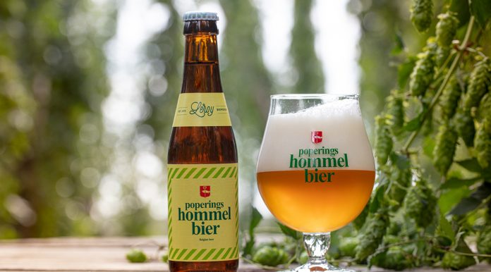 Leroy Hommelbier-bewerkt-cover