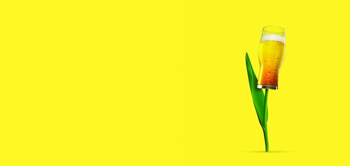 Contemporary art collage of tulip flower with beer bud isolated over yellow background